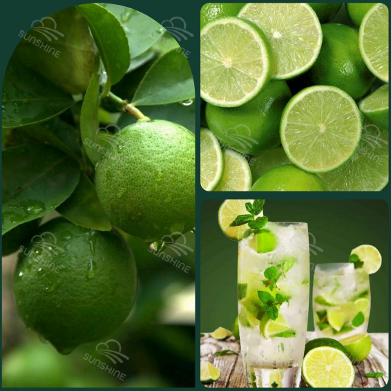 CÂU CHUYỆN THƯƠNG HIỆU